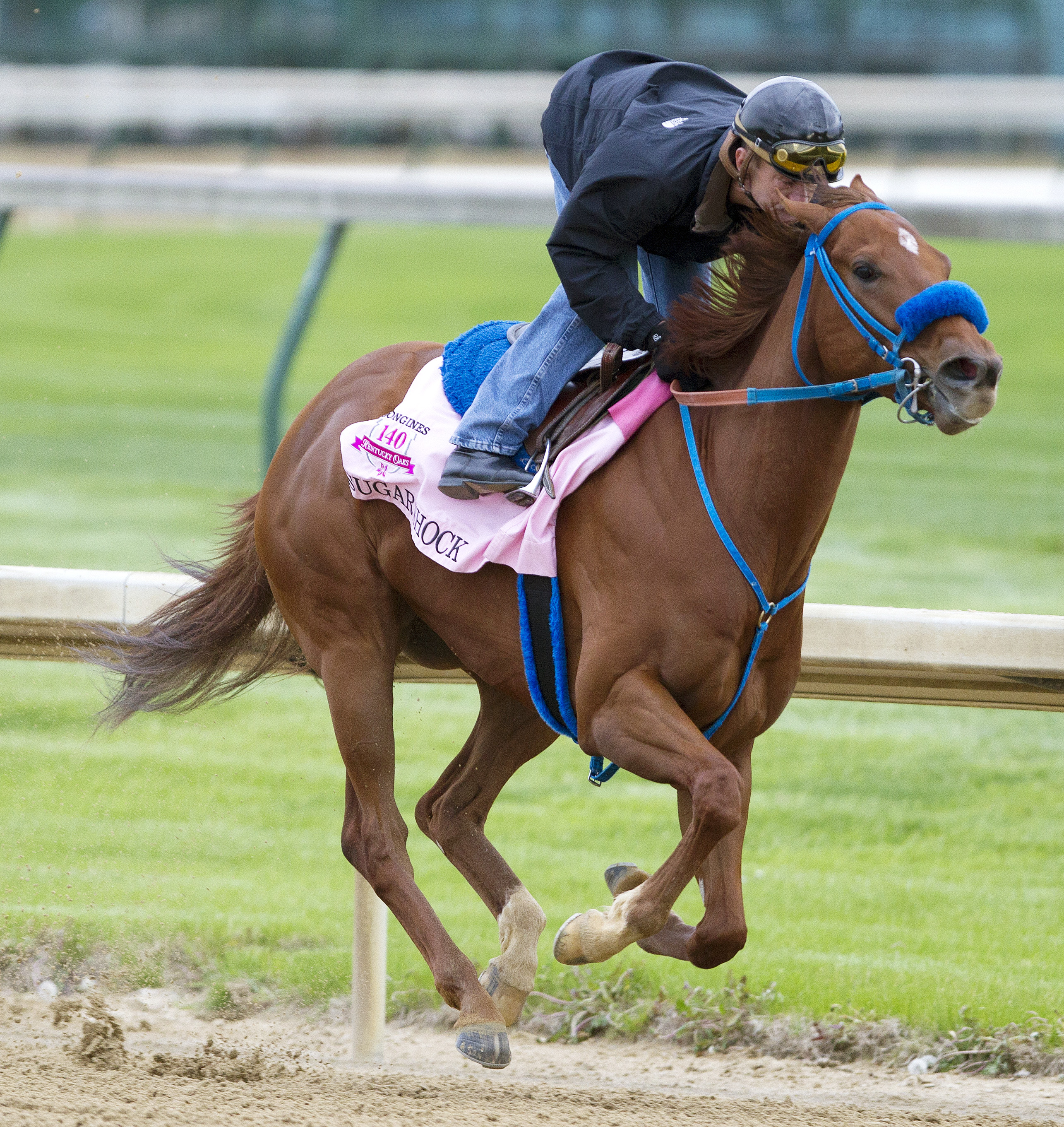 Sugar Shock training in April