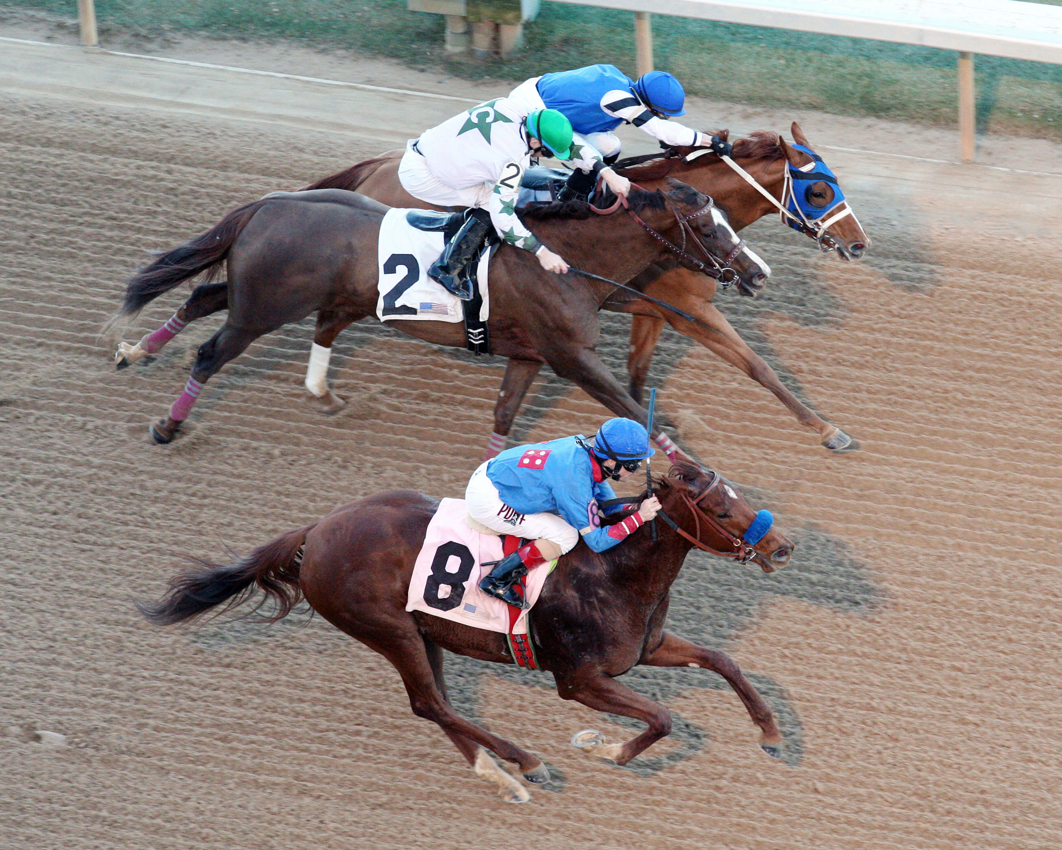 Spring Included finishes second in the American Beauty
