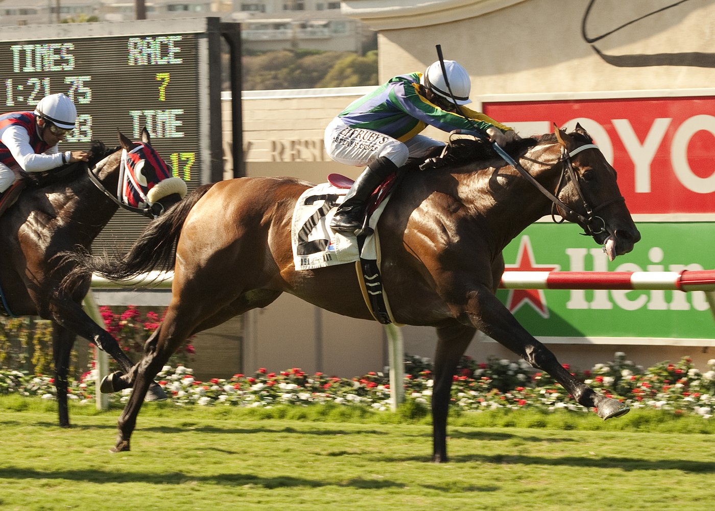 Suggestive Boy/Wickerr Stakes