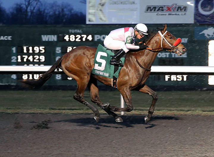 Sugoi wins a March 12 maiden race at Turfway Park