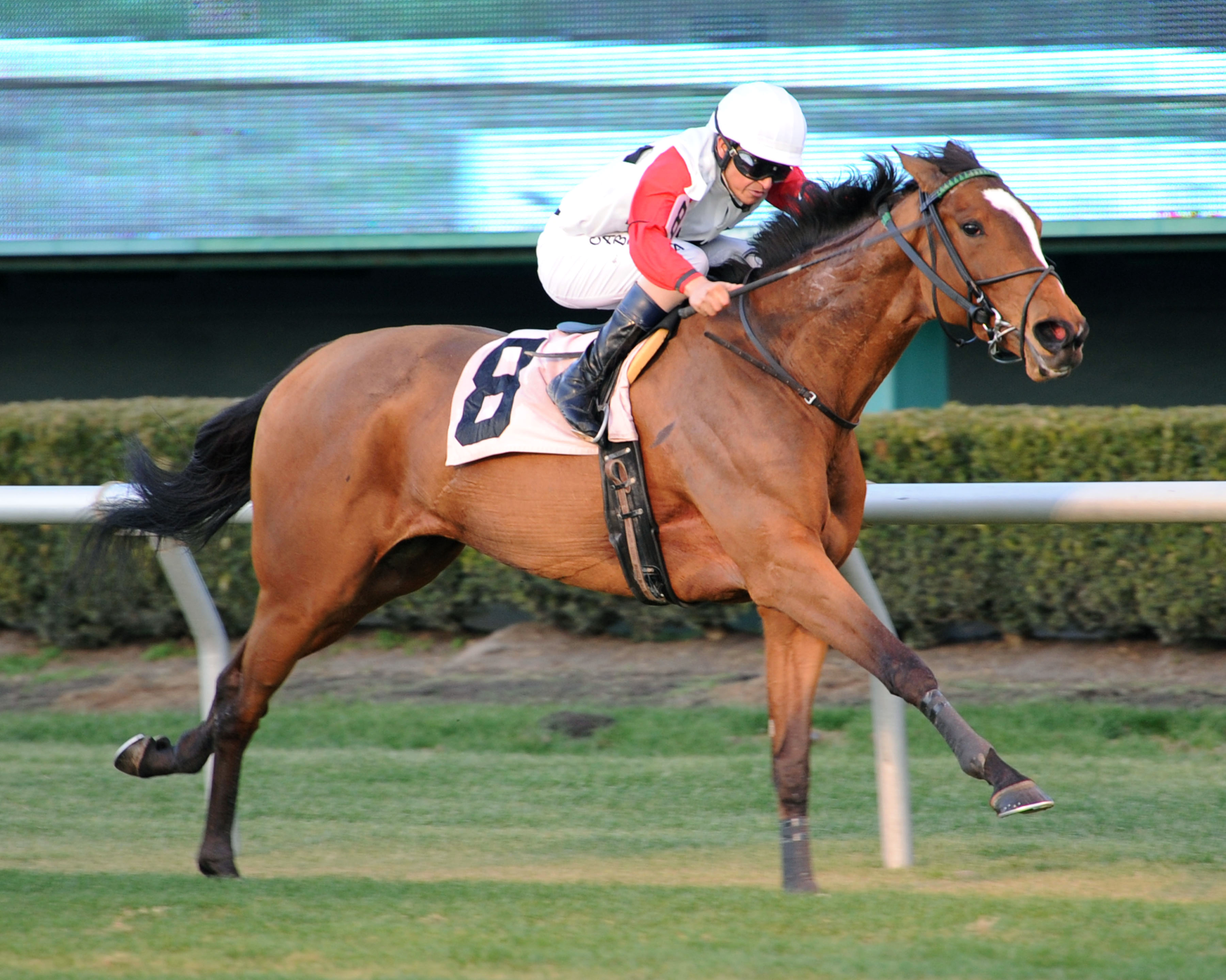 Sully's Dream wins the 2018 Houston Distaff Stakes