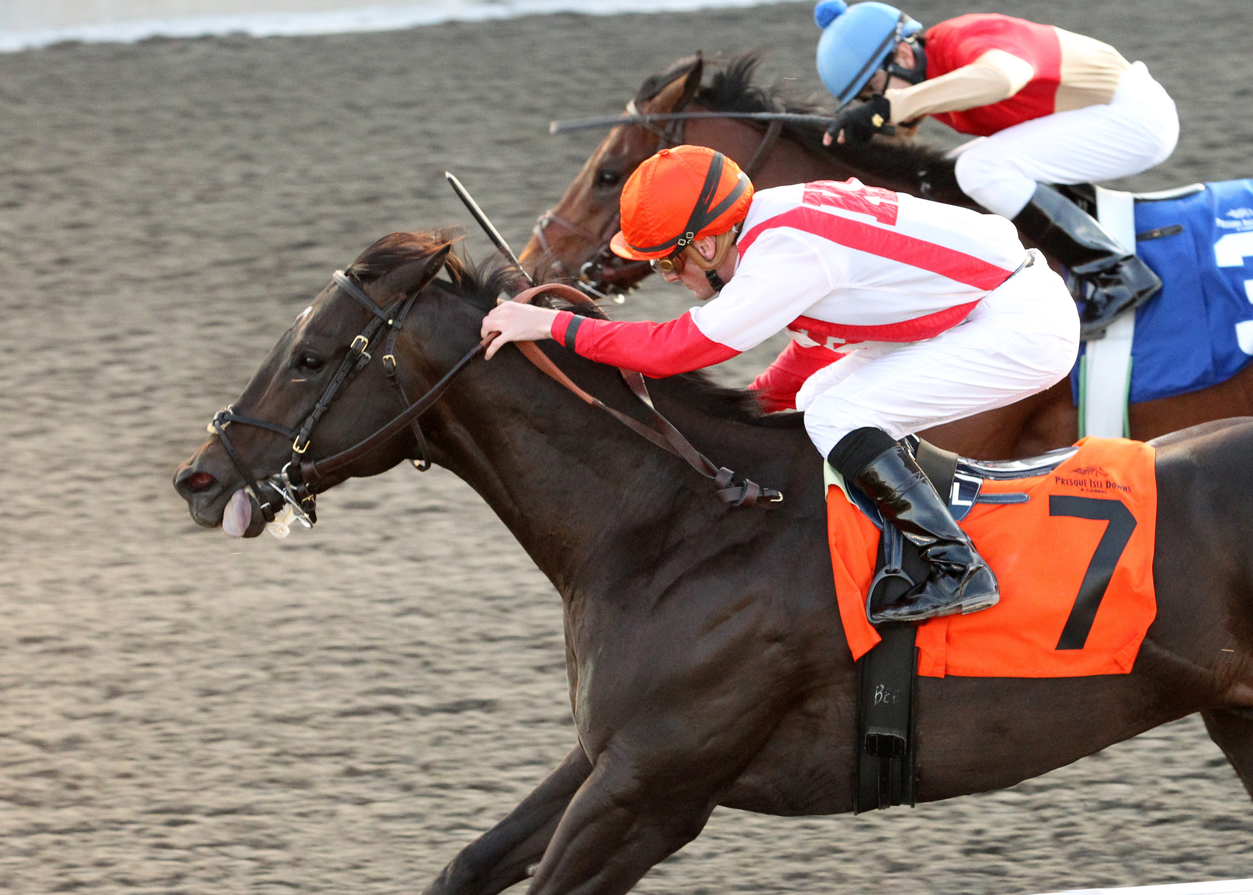 Sum of the Parts/Tom Ridge Stakes