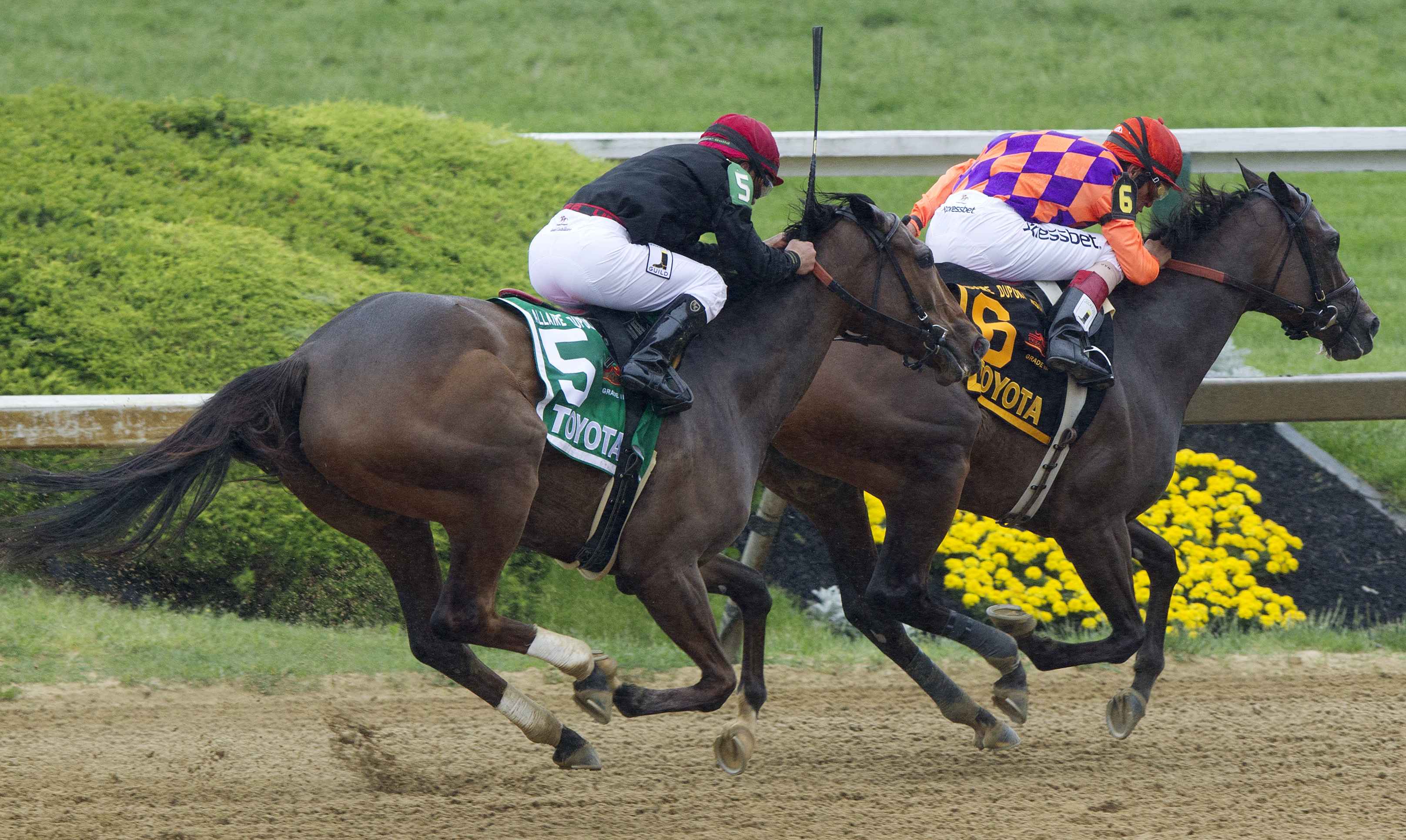 Summer Applause (right), Sea Island. DuPont Distaff