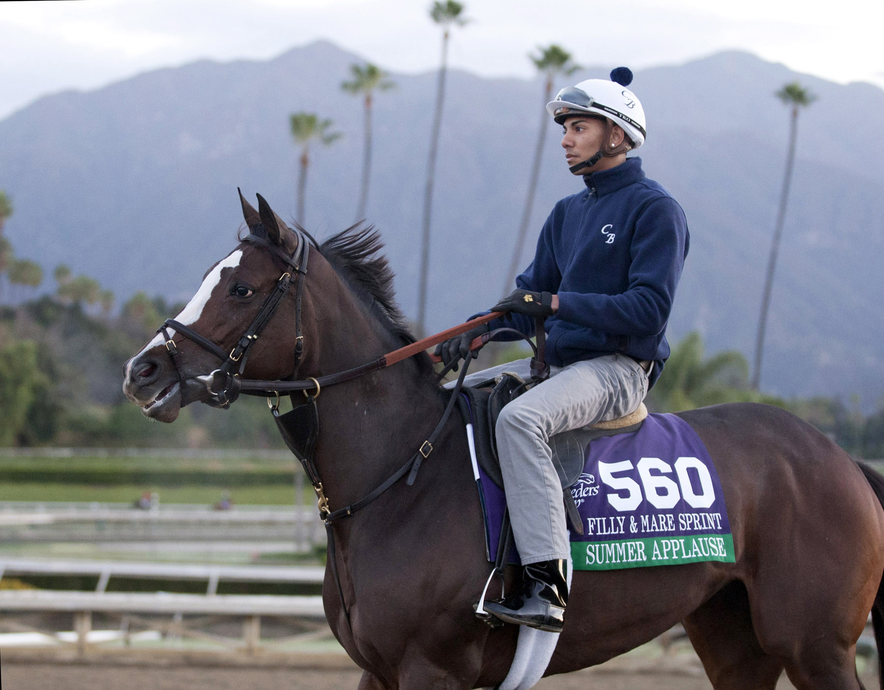 Summer Applause at Santa Anita on Oct. 29