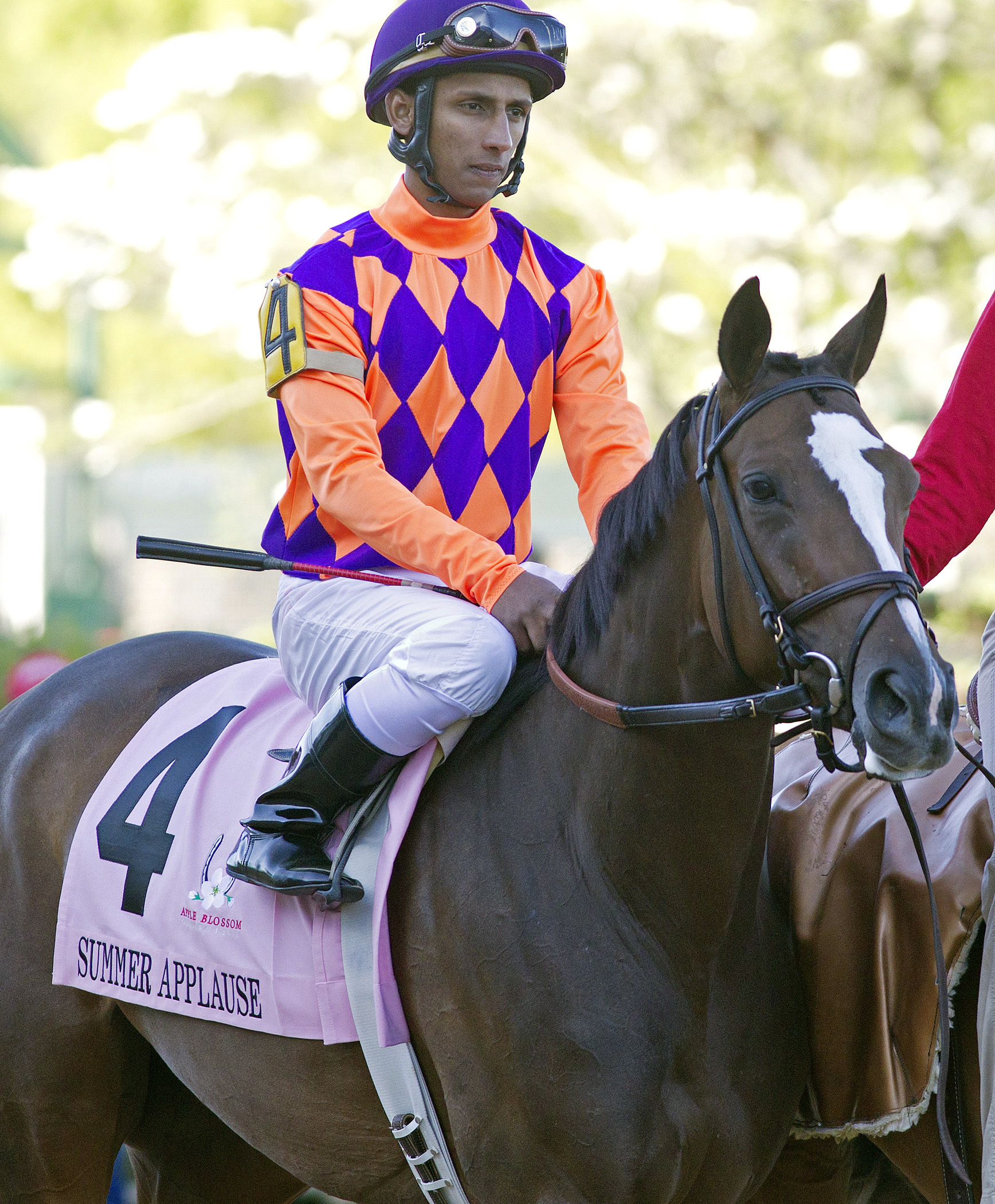Pimlico: Allaire DuPont rebound spot for Summer Applause