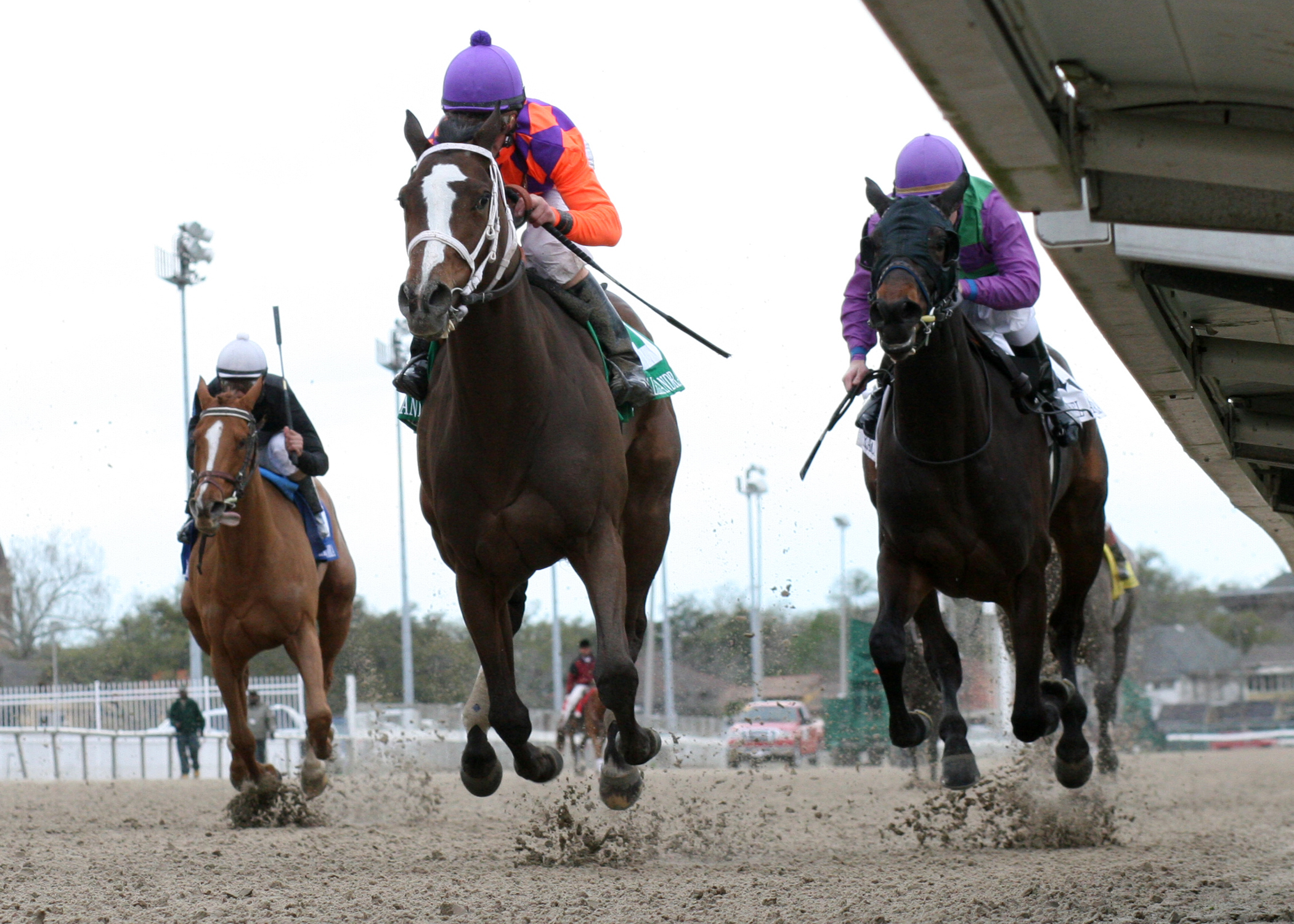 Summer Applause/Rachel Alexandra