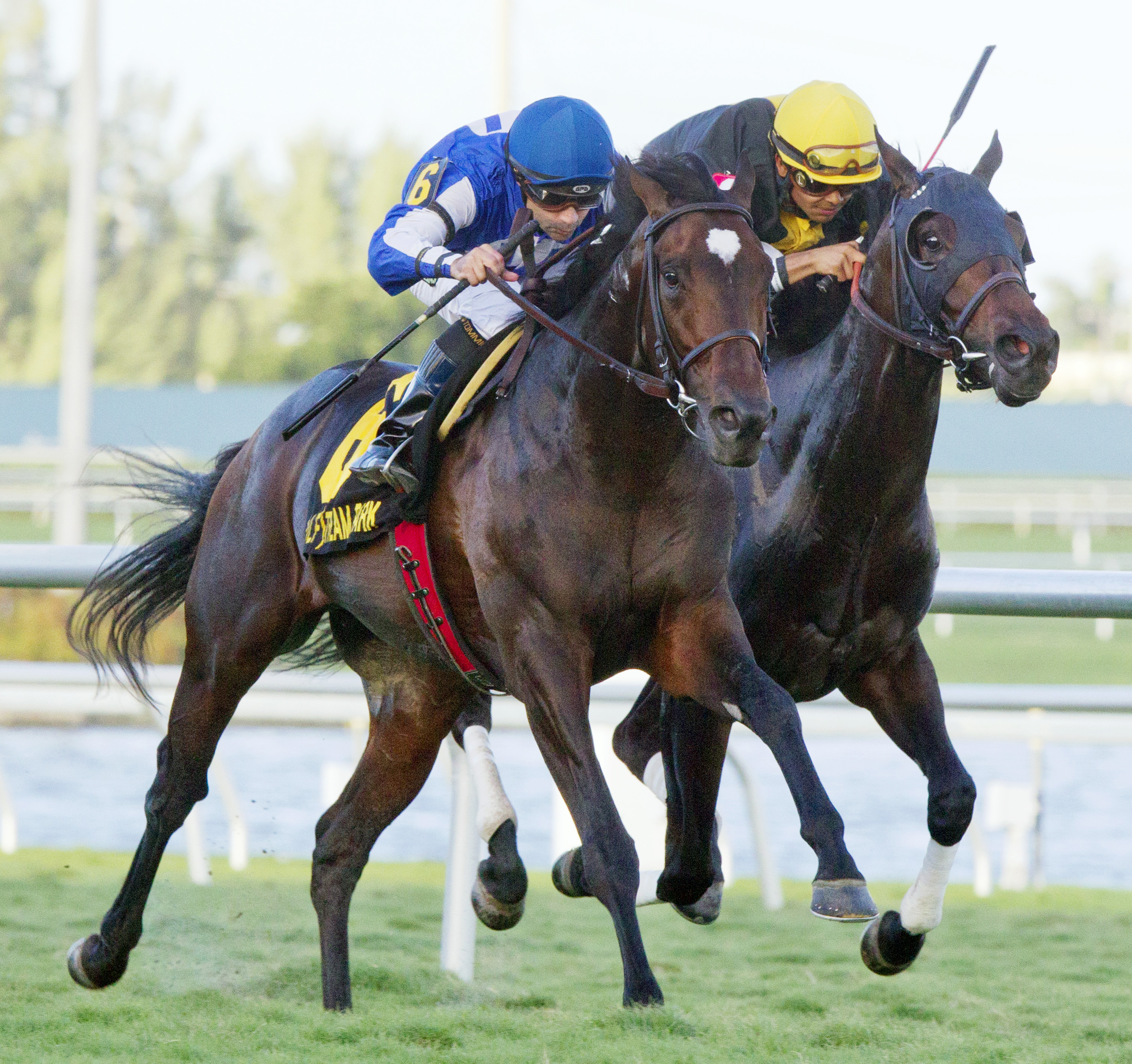 Summer Front wins the Fort Lauderdale