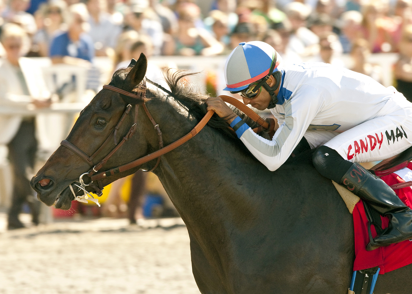 Summer Hit wins the Harry Brubaker Stakes