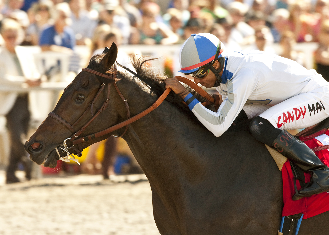 Summer Hit wins the Harry F. Brubaker Stakes
