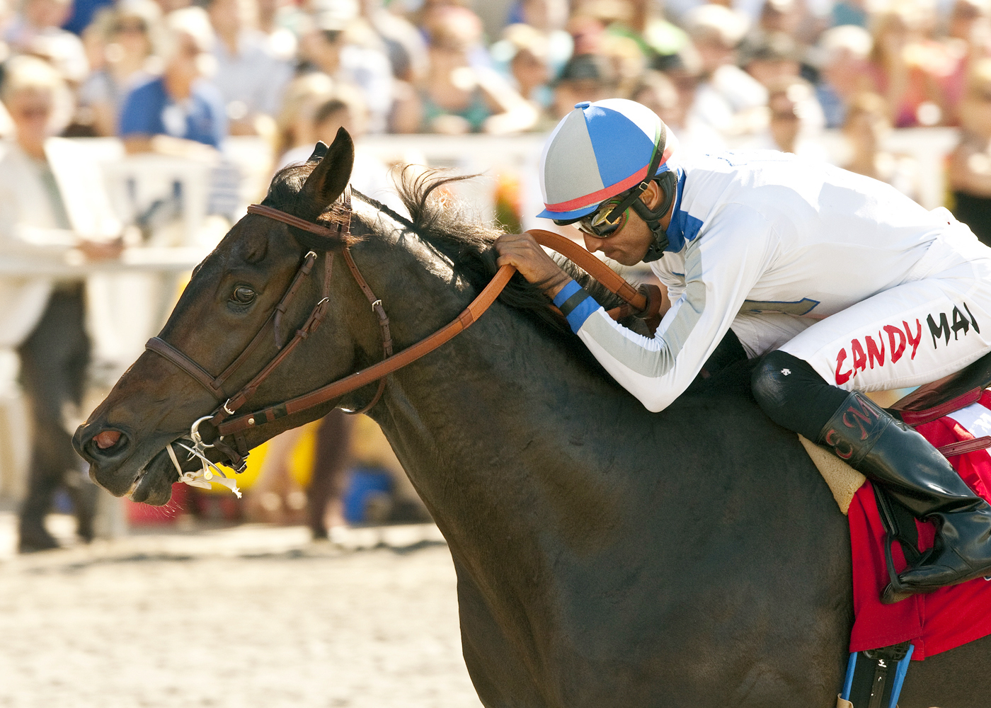 Summer Hit wins the 2013 Harry S. Brubaker Stakes