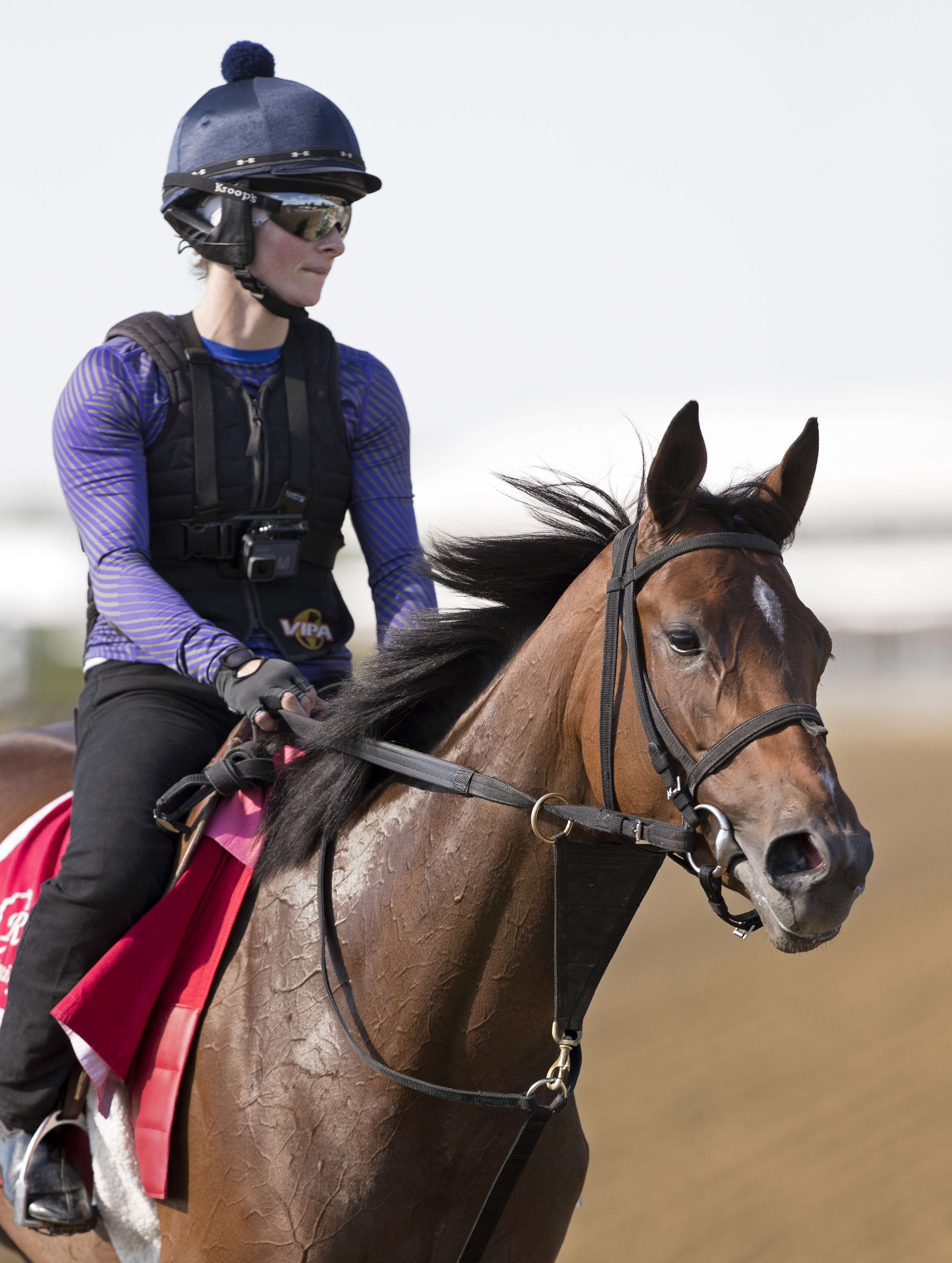 Summer Luck at Pimlico on May 17