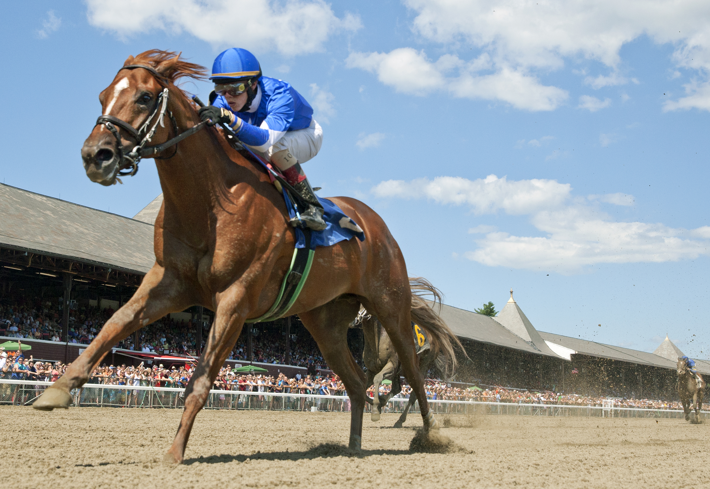 Summer Revolution wins an allowance race on Aug. 6