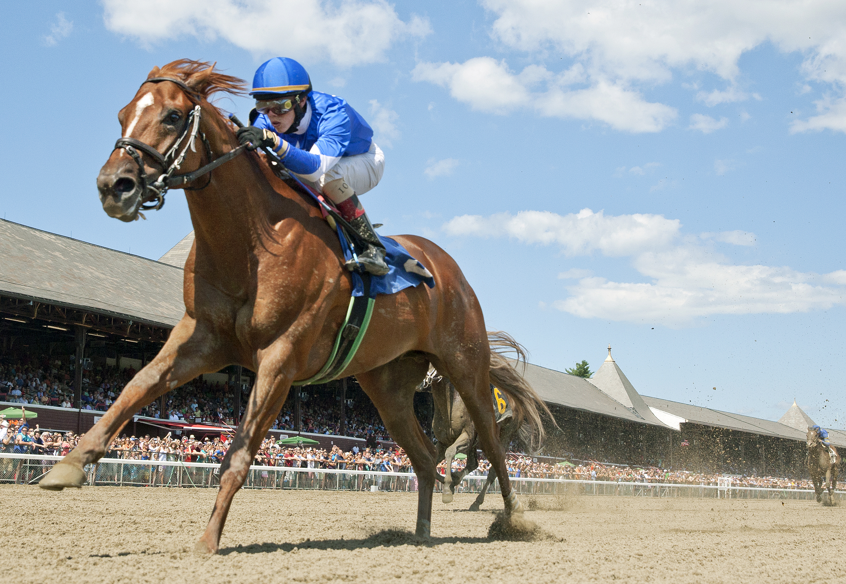 Summer Revolution wins an August 2016 allowance