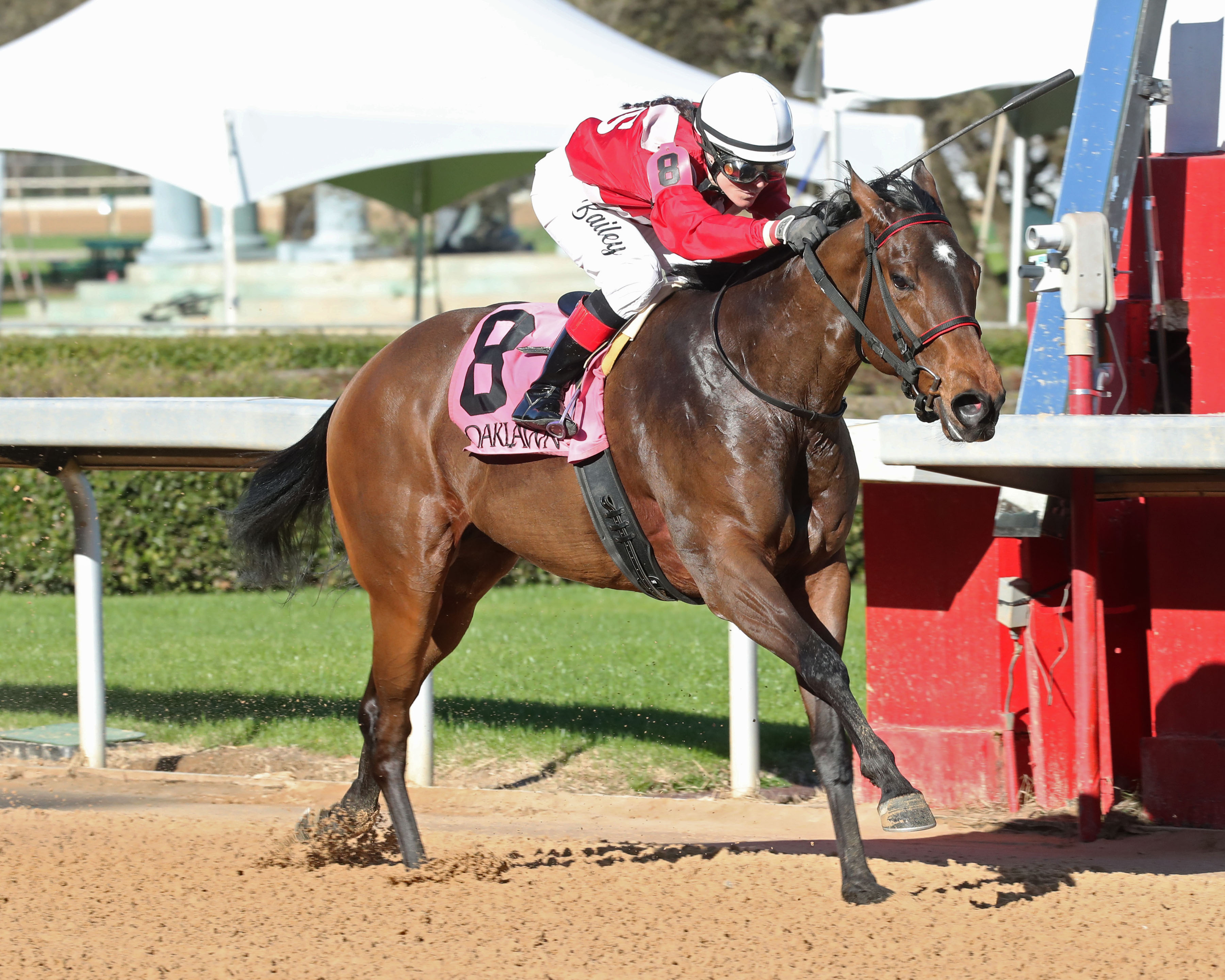 Summer Shoes wins Downthedustyroad at OP March 4 2023
