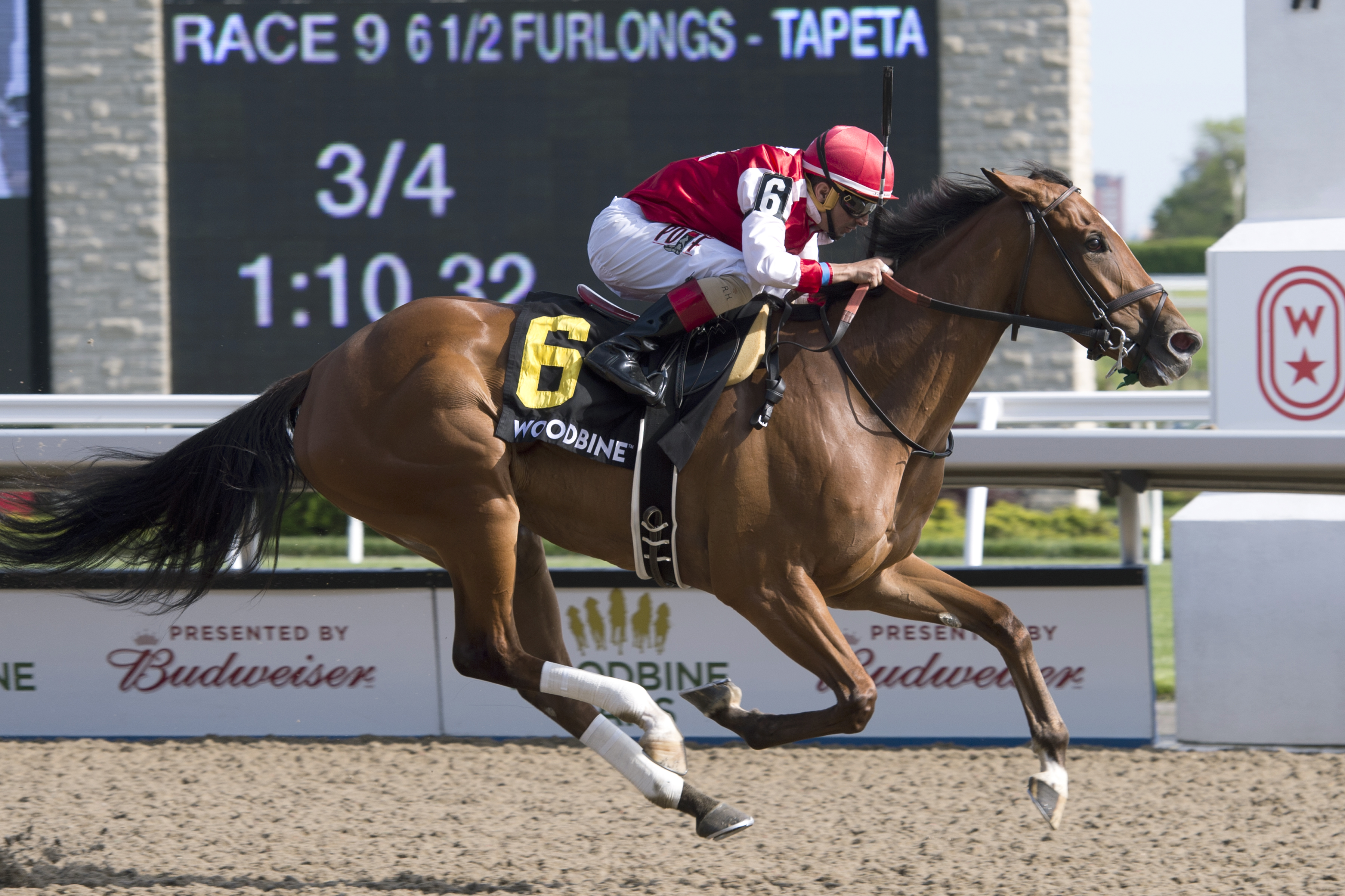 Summer Sunday wins the Hendrie at Woodbine on June 9, 2019