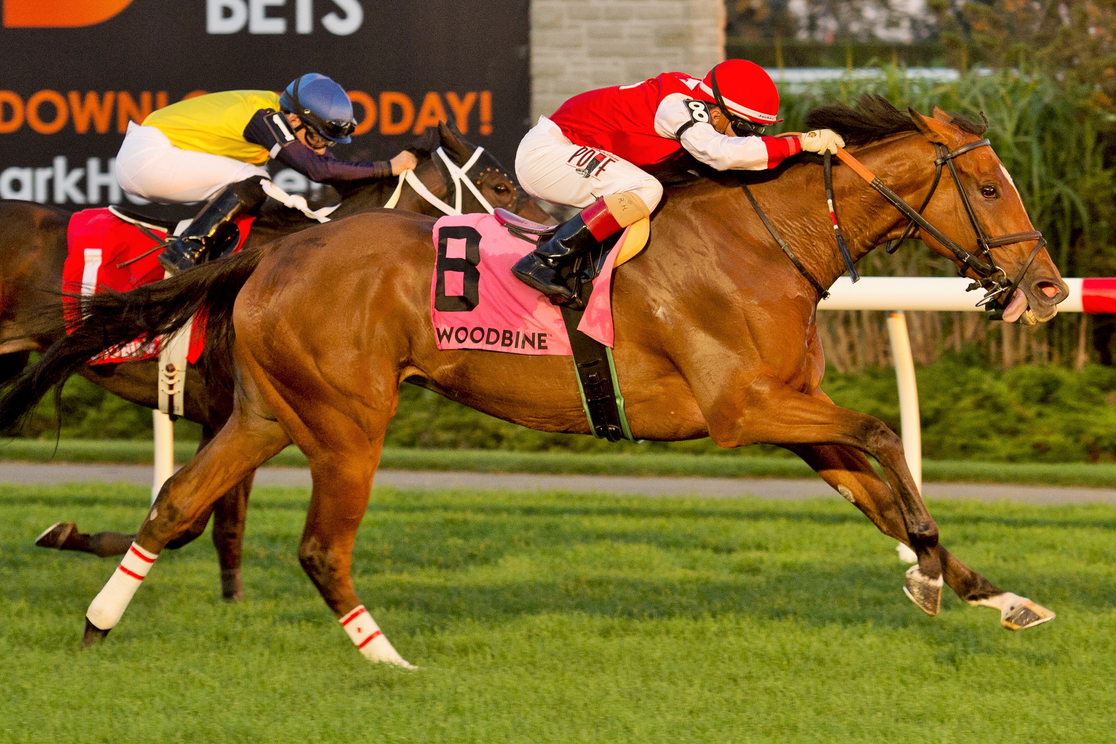 Summer Sunday wins the Zadracarta Stakes.9-10-2021
