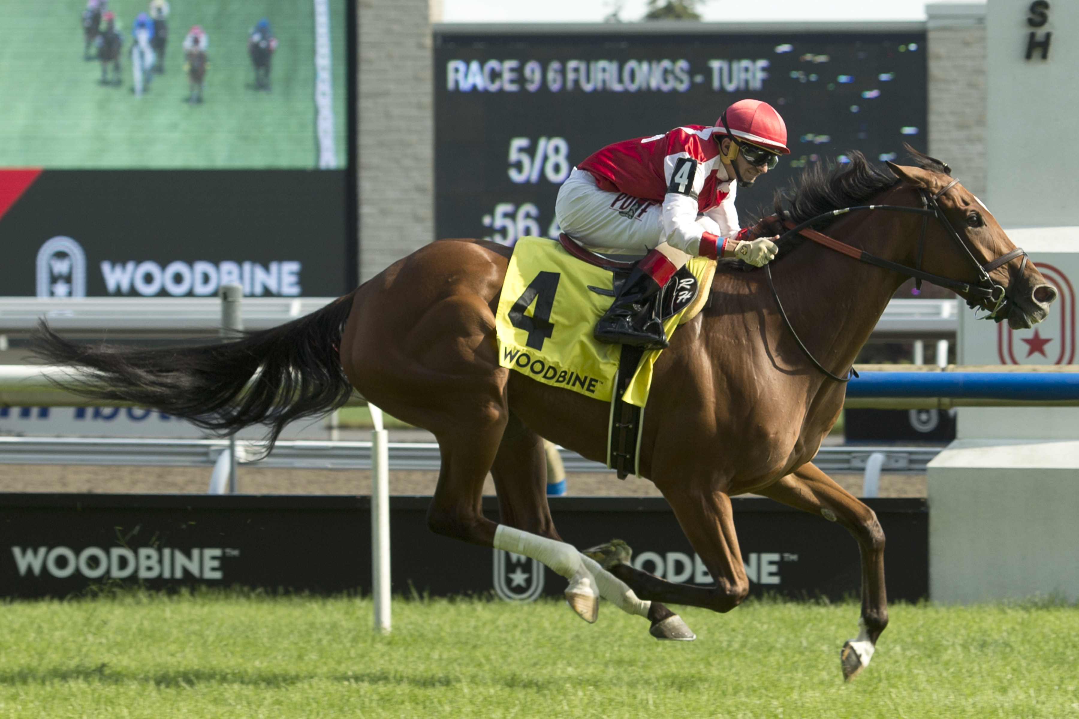 Summer Sunday wins the 2019 Royal North Stakes