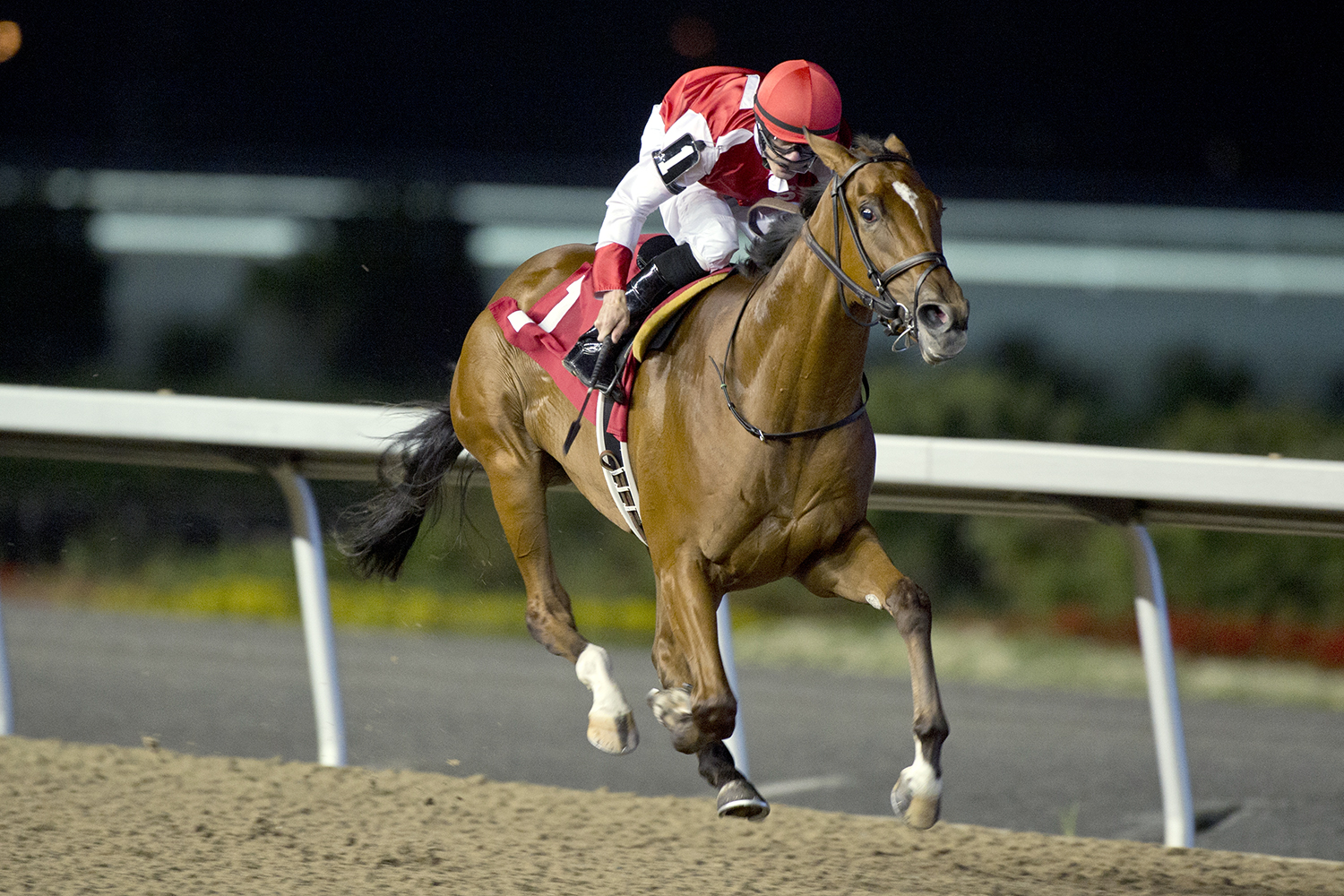 Summer Sunday wins the Muskoka Stakes