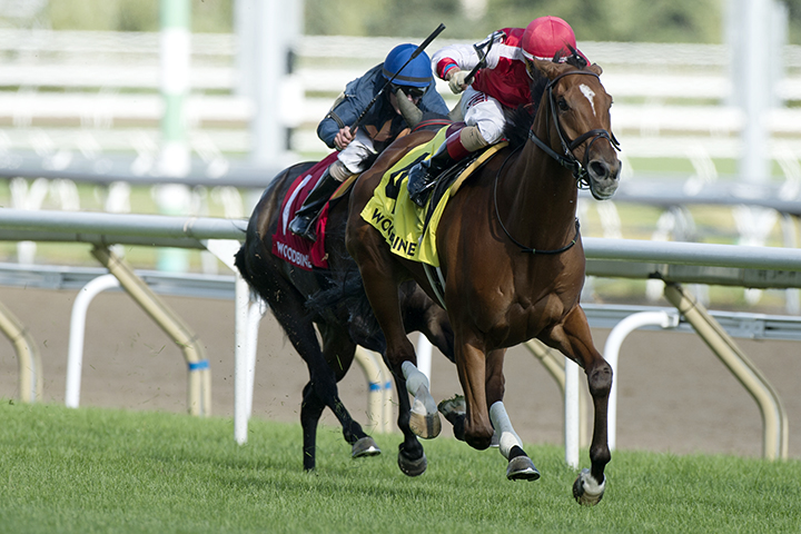 Summer Sunday wins the 2019 Royal North Stakes at Woodbine
