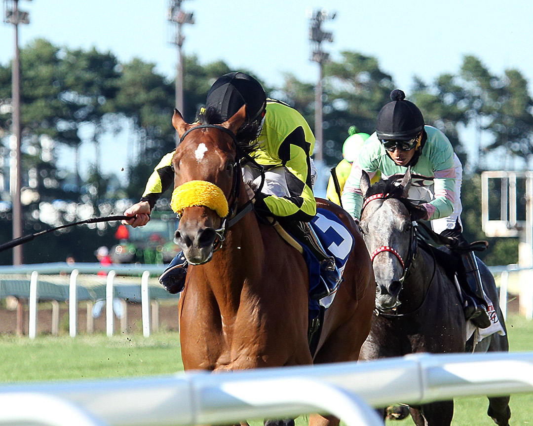 Summer Assault wins the 2020 Mystic Lake Derby at Canterbury Park