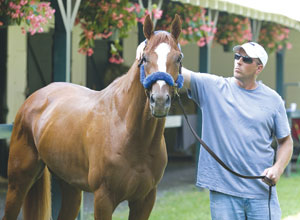 Summer Bird and Tim Ice
