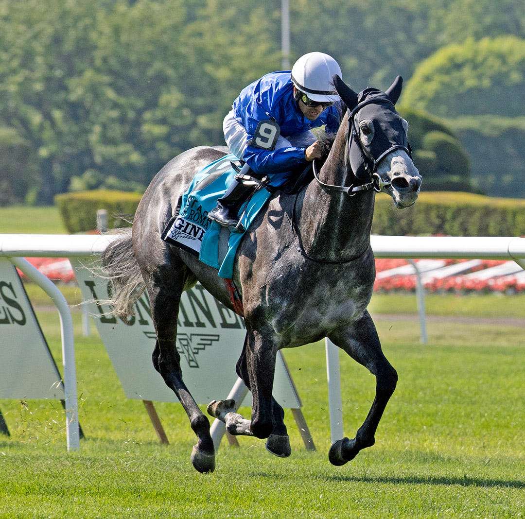 Summer Romance finishes second in the 2021 Just a Game Stakes