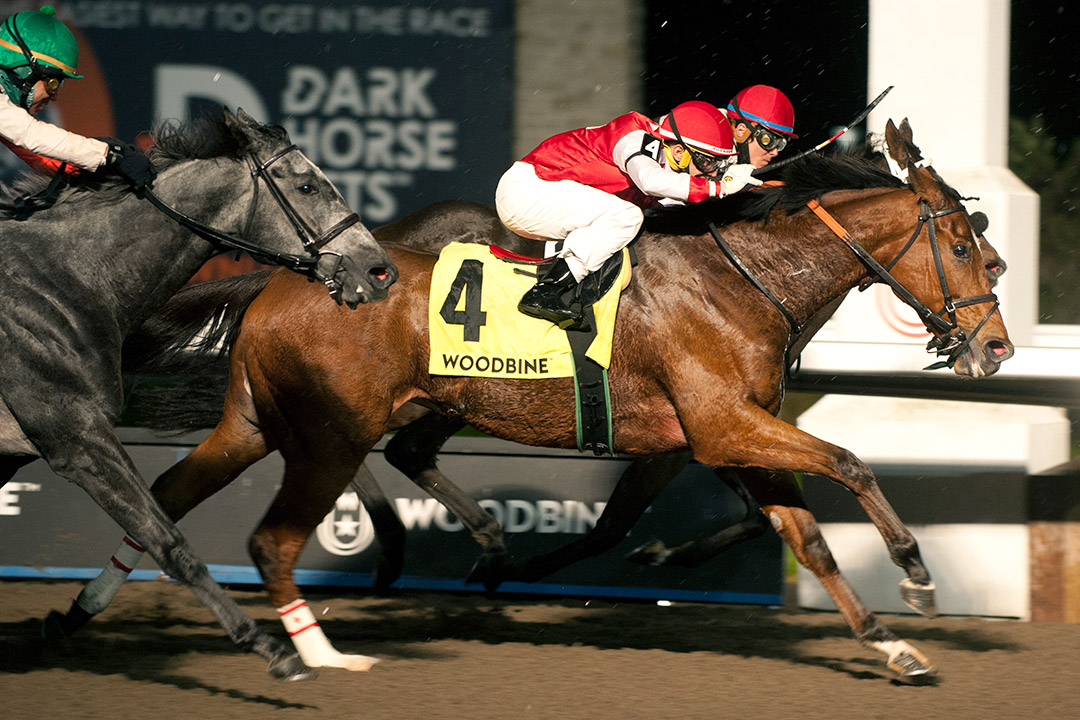 Summer Sunday wins the 2021 Eternal Search Stakes at Woodbine