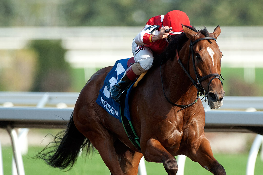 Summer Sunday wins the 2020 Belle Mahone at Woodbine