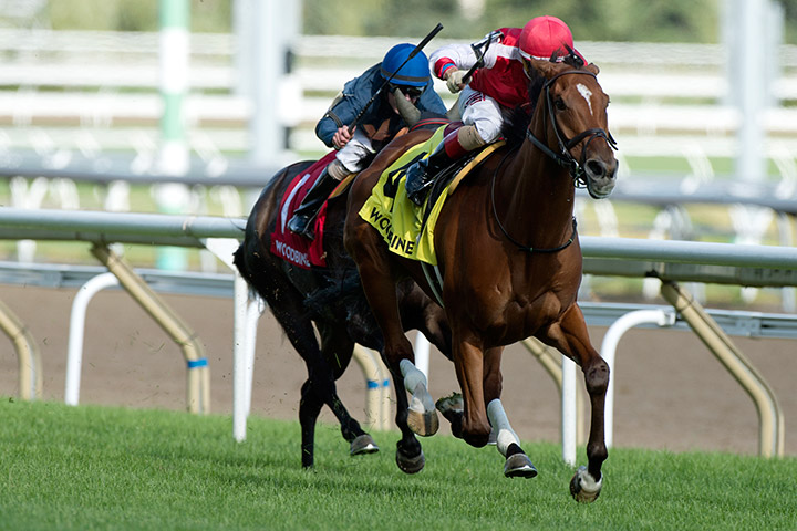 Summer Sunday wins the 2019 Royal North Stakes at Woodbine