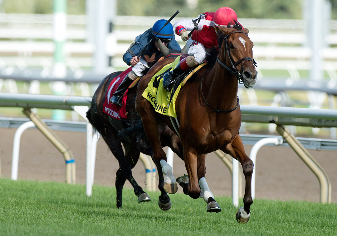 Summer Sunday wins the 2019 Royal North Stakes at Woodbine