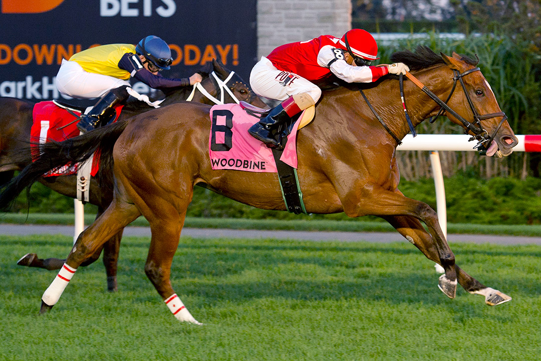 Summer Sunday wins the 2021 Zadracarta Stakes at Woodbine