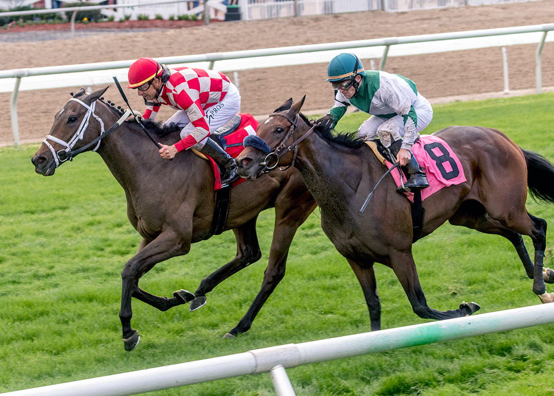 Summer in Saratoga (left) wins the Blushing K. D. Stakes at Fair Grounds