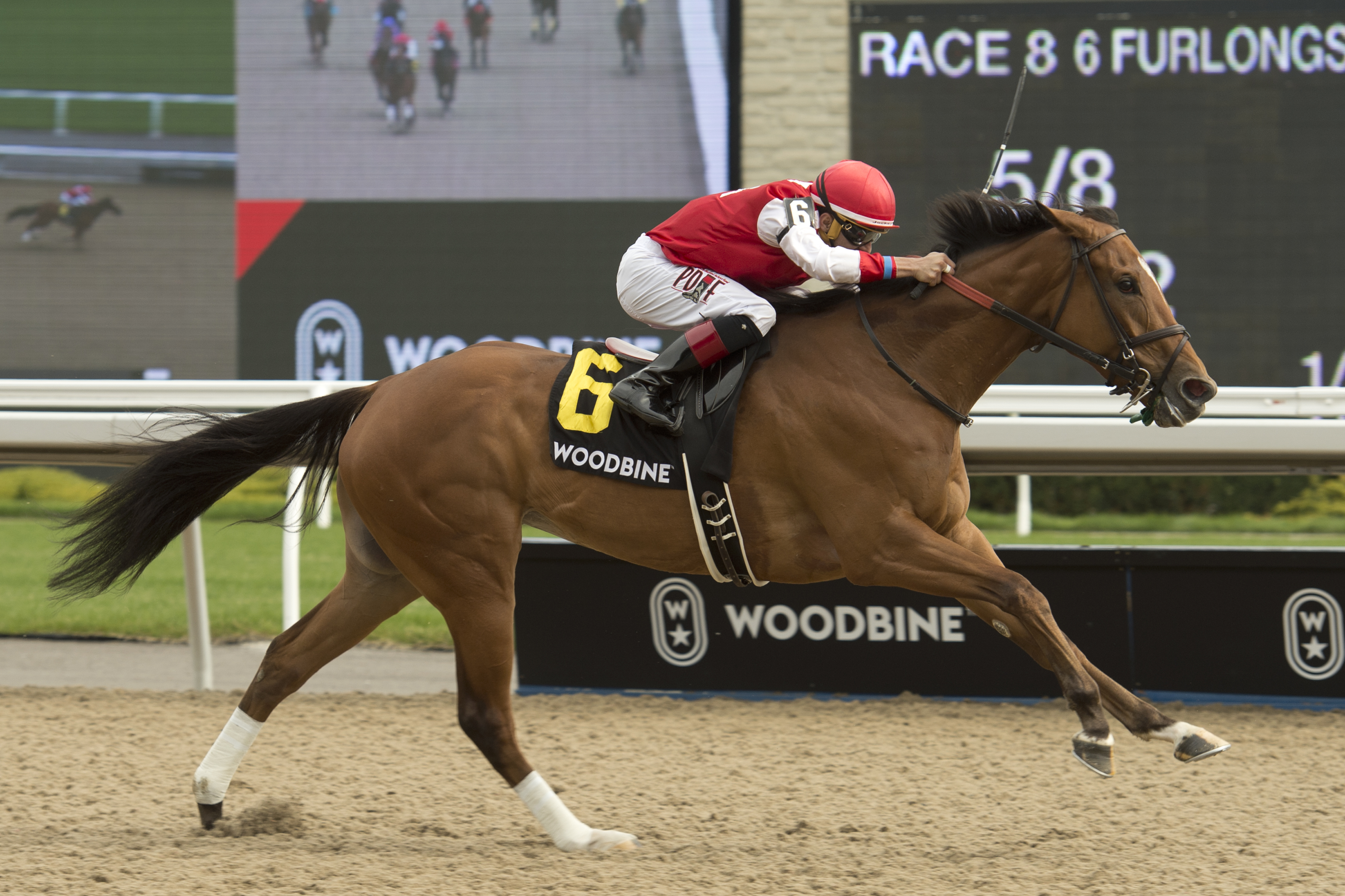 Summer Sunday wins the 2019 Ballade Stakes