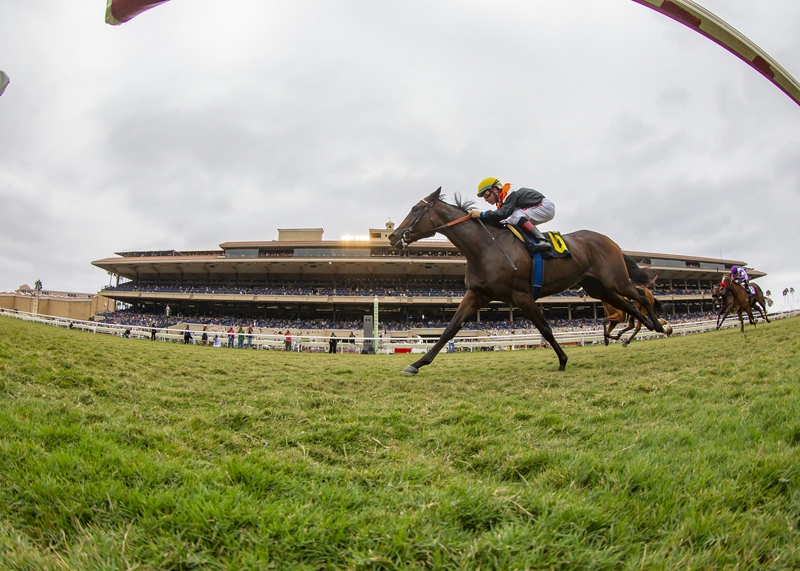 Summering wins the 2018 Del Mar Juvenile Fillies Turf