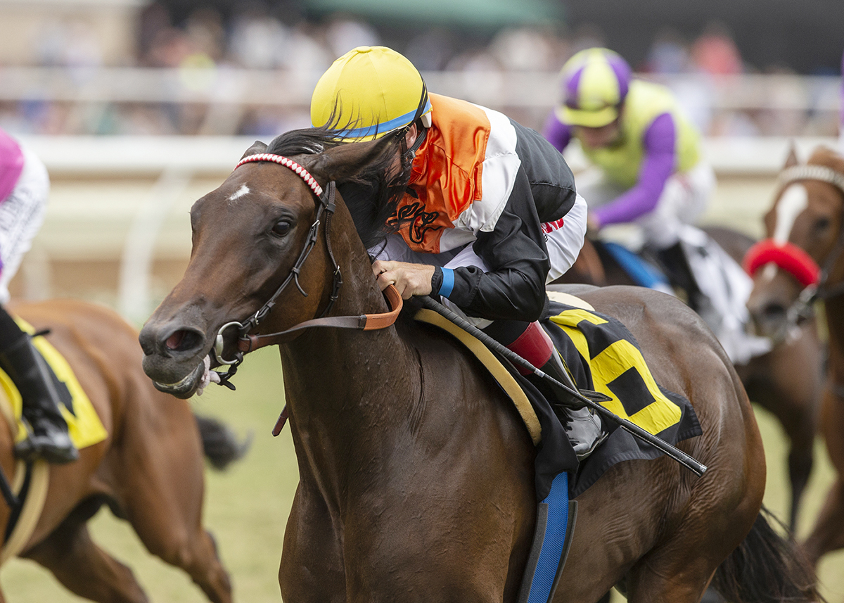 Summering wins the 2018 Del Mar Juvenile Fillies Turf