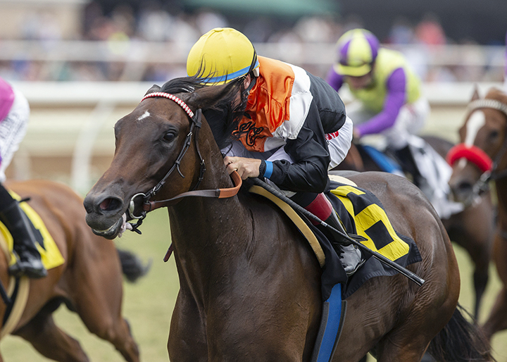 Summering wins the 2018 Del Mar Juvenile Fillies Turf