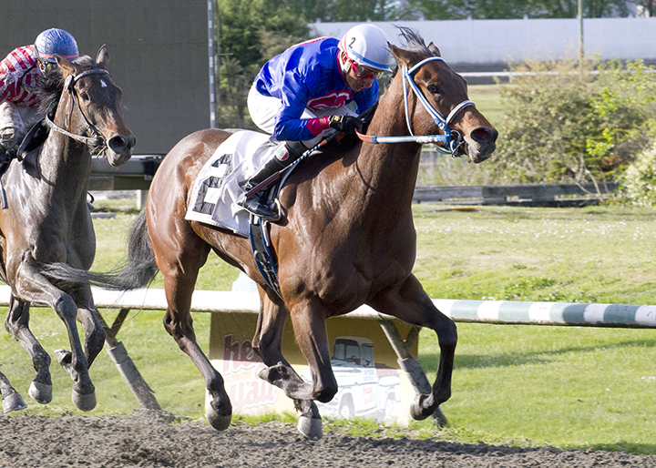 Summerland wins the Ross McLeod Stakes