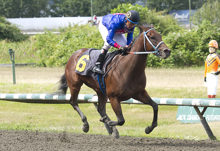 Summerland wins the 2019 Supernatural Stakes at Hastings Racecourse