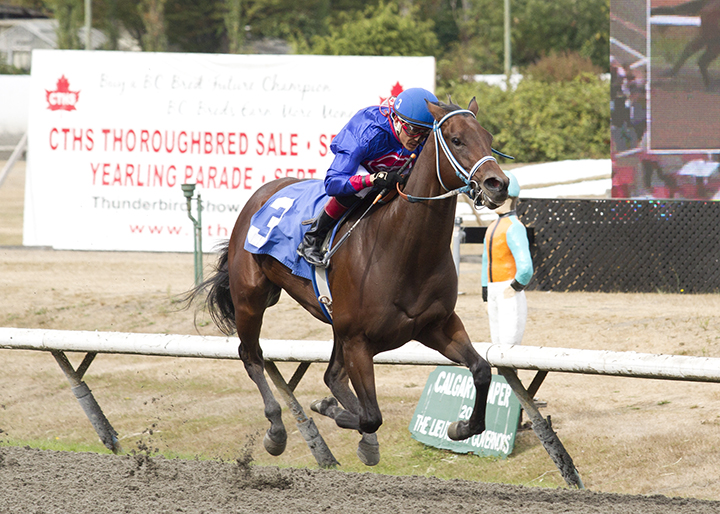 Summerland wins a Sept. 8 allowance race
