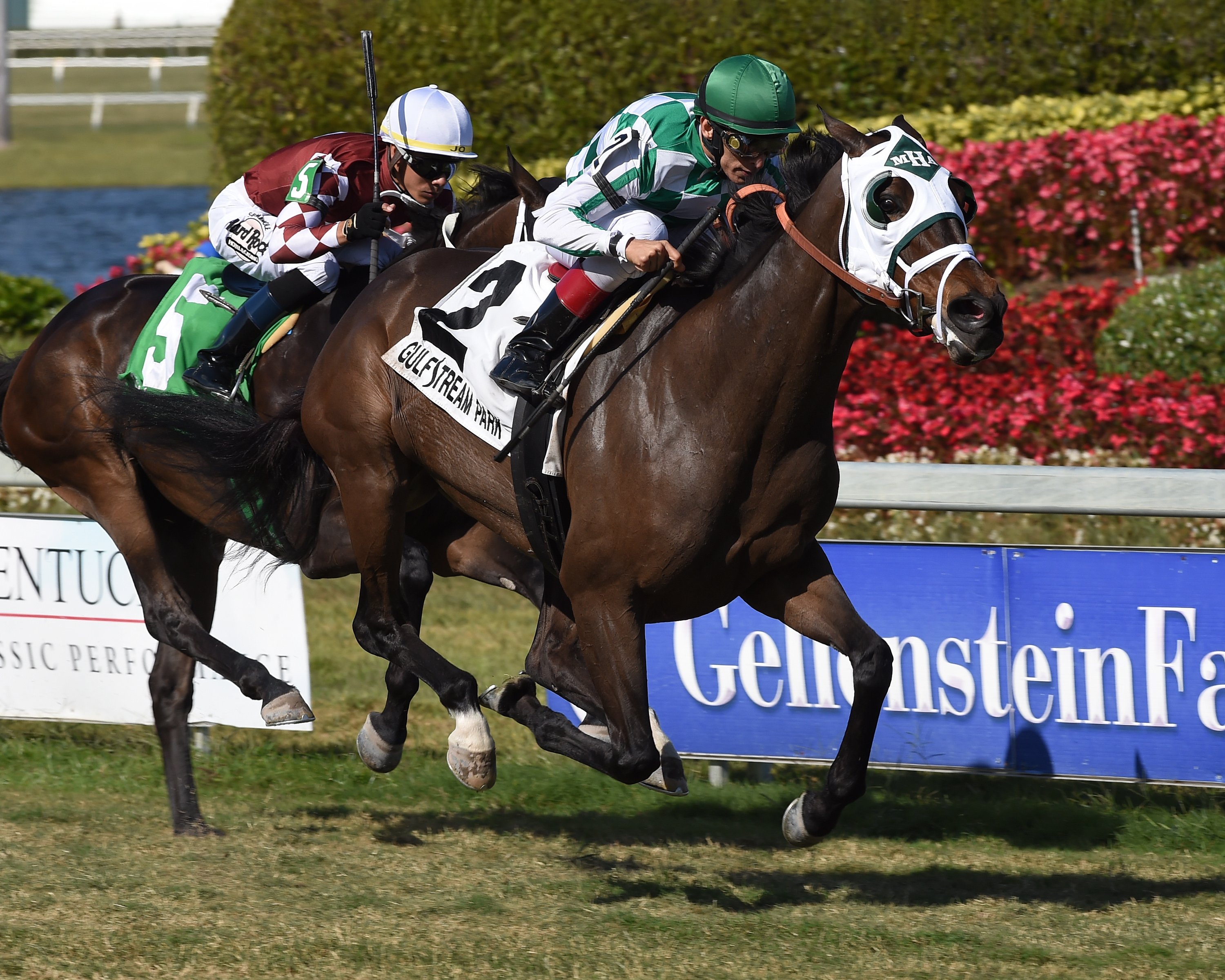 Summersault wins 2018 Soaring Softly