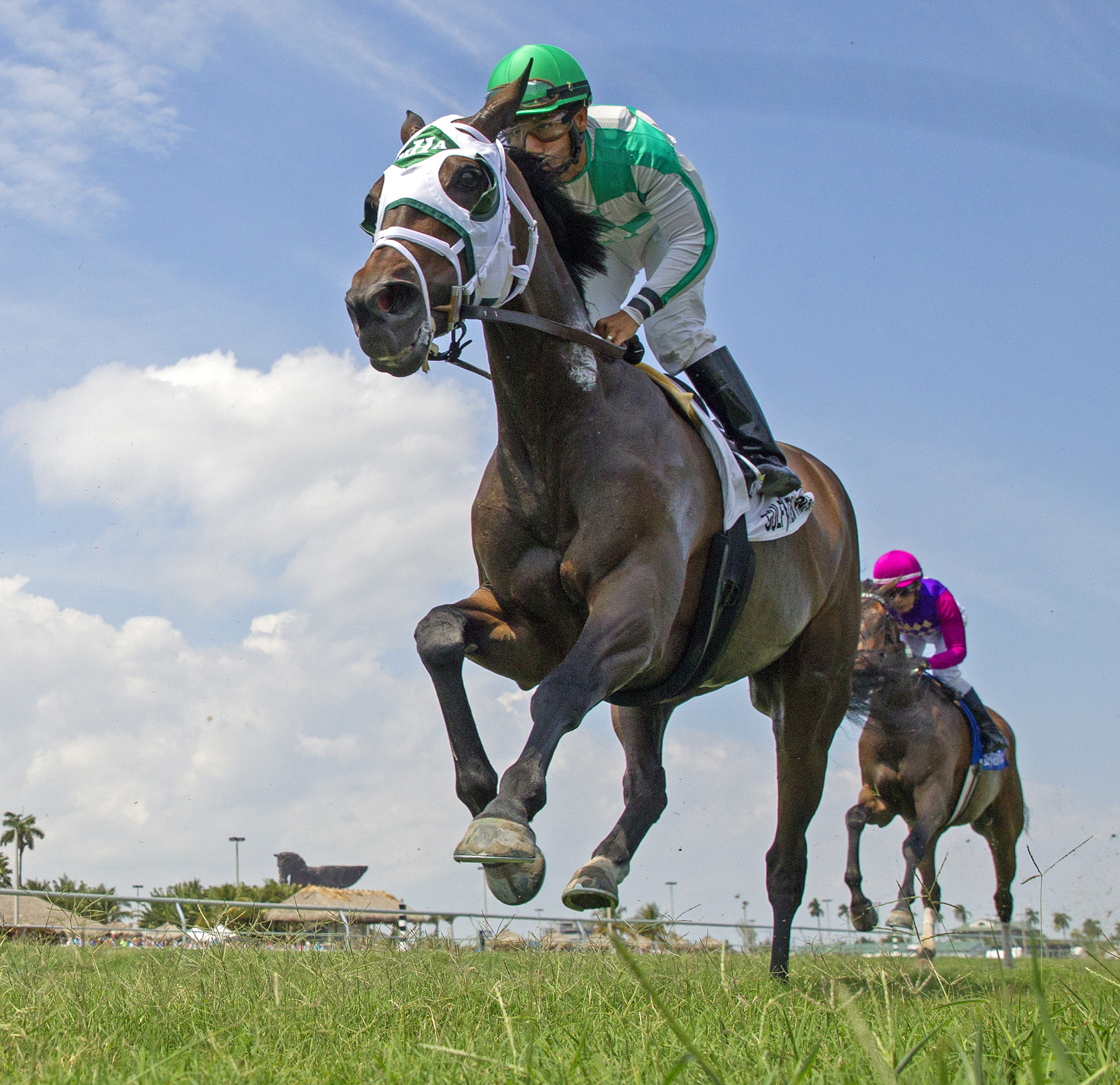Summersault wins the 2017 Orchid Stakes
