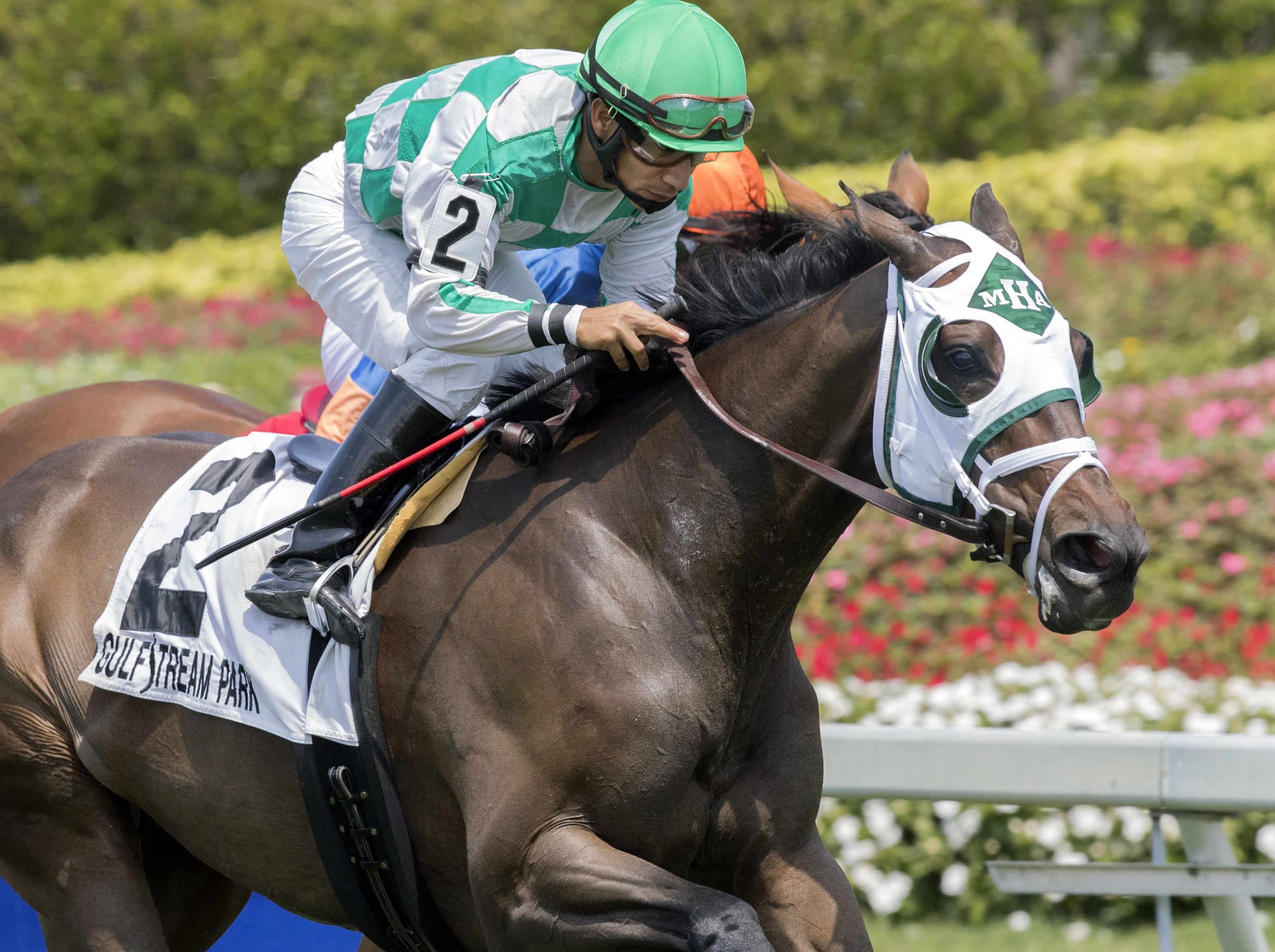 Summersault wins the 2017 Orchid Stakes