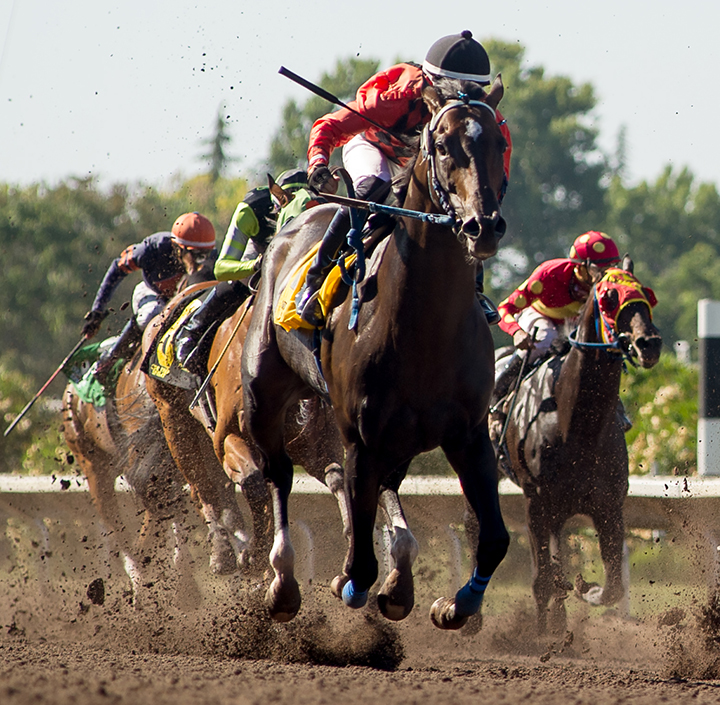 Summersimage wins the 2019 Oak Tree Sprint