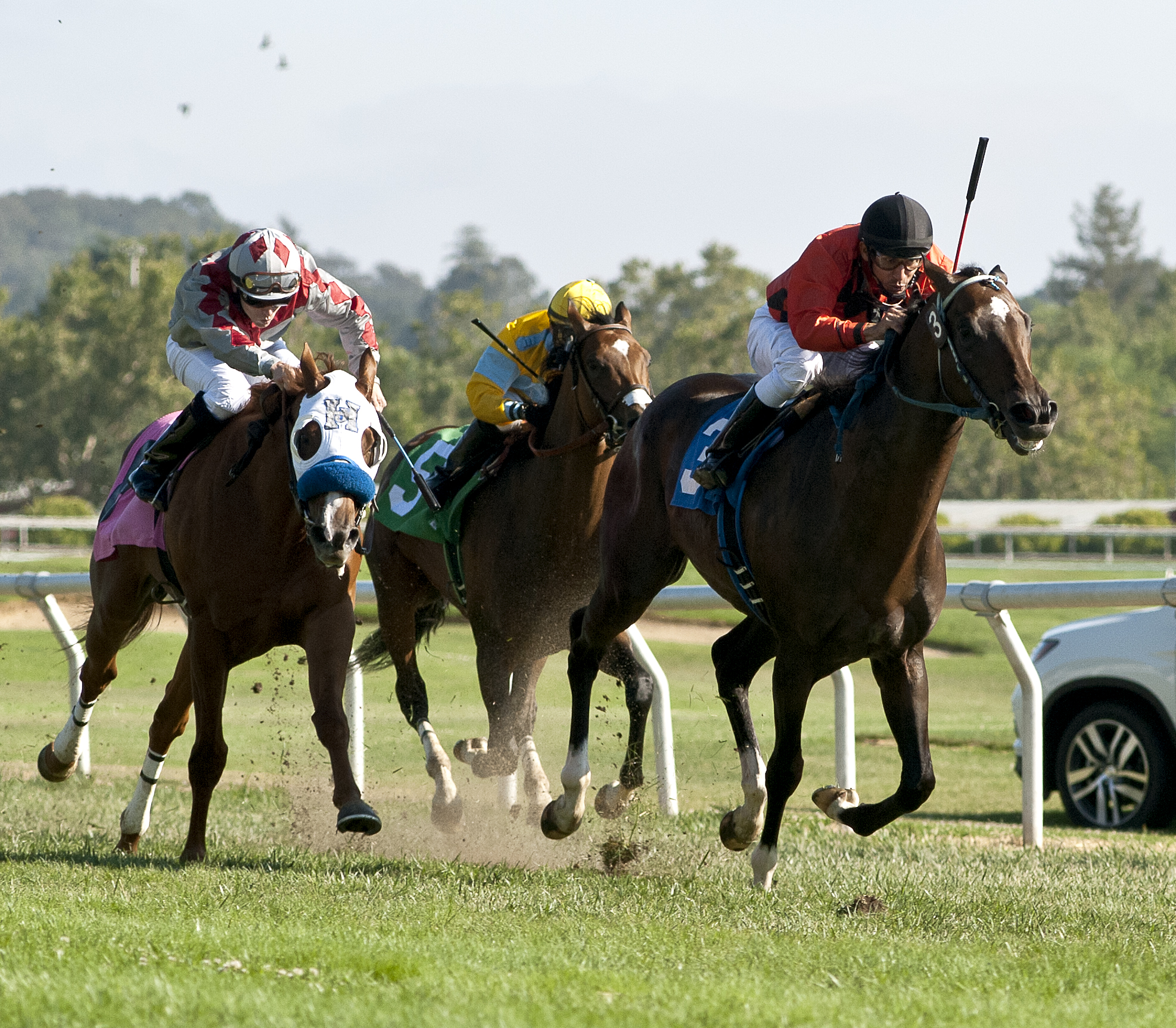 Summersimage wins the Robert Dupret Derby at Santa Rosa 8.6.17_SMIV