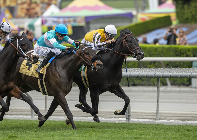 Sumter (on rail) /Singletary Stakes