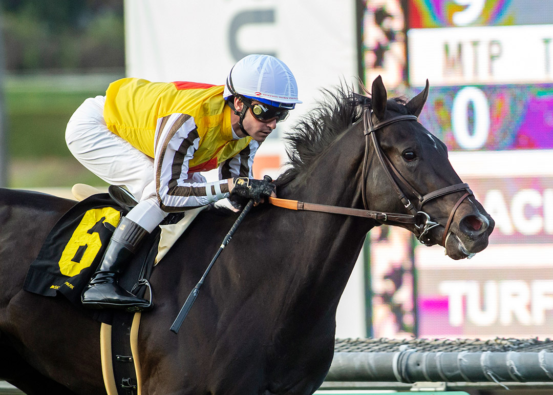 Sumter wins the 2022 Pasadena Stakes at Santa Anita
