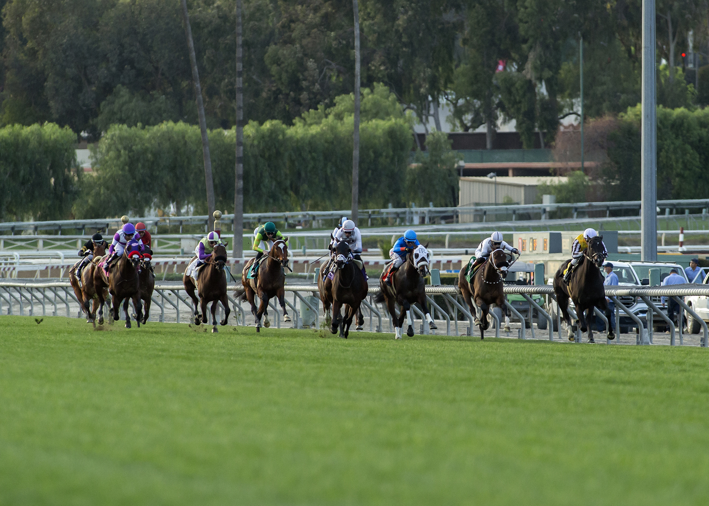Santa Anita turf