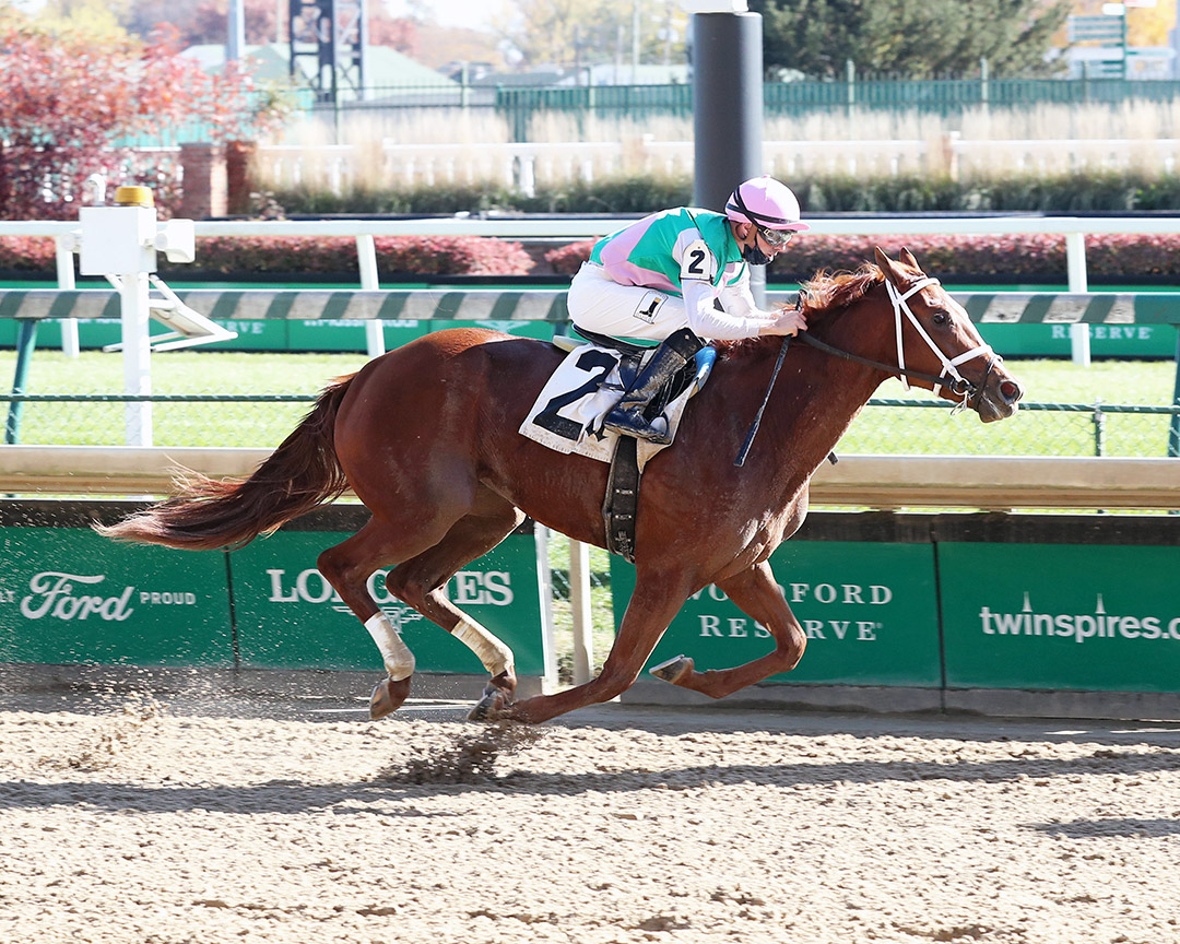 Sun Path wins a Nov. 8 maiden race at Churchill Downs