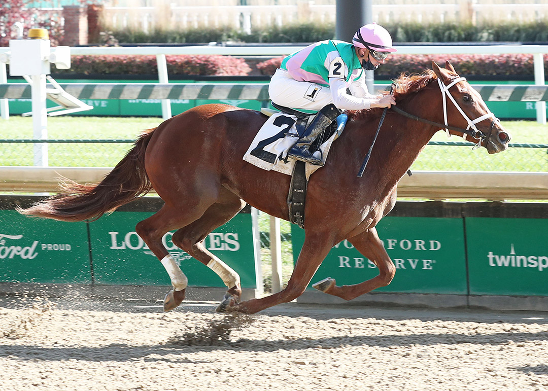 Sun Path wins a Nov. 8 maiden race at Churchill Downs