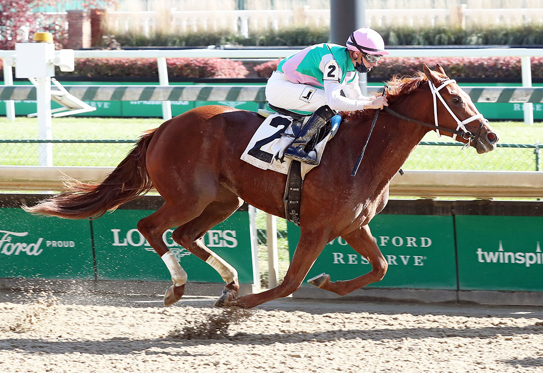 Sun Path wins a Nov. 8 maiden race at Churchill Downs